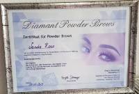 Powder Brows